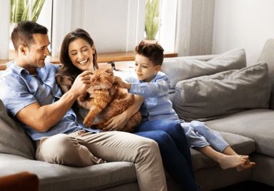 Why growing up around animals is good for your immune system