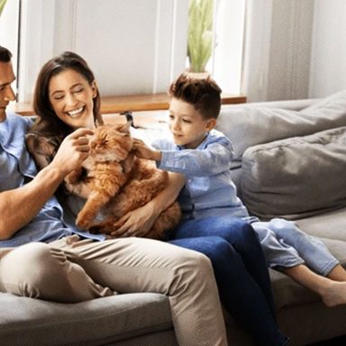 Why growing up around animals is good for your immune system