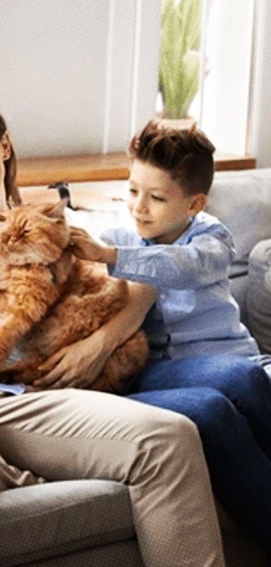 Why growing up around animals is good for your immune system