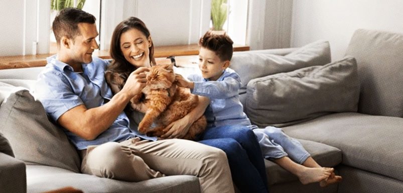 Why growing up around animals is good for your immune system