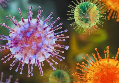 Why the hantavirus outbreak is different from Covid-19