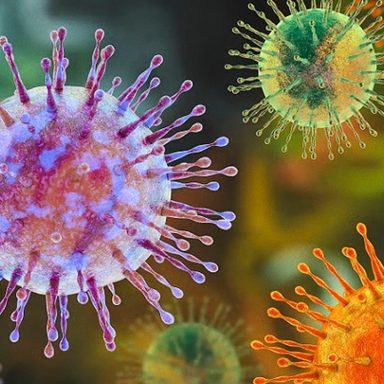 Why the hantavirus outbreak is different from Covid-19