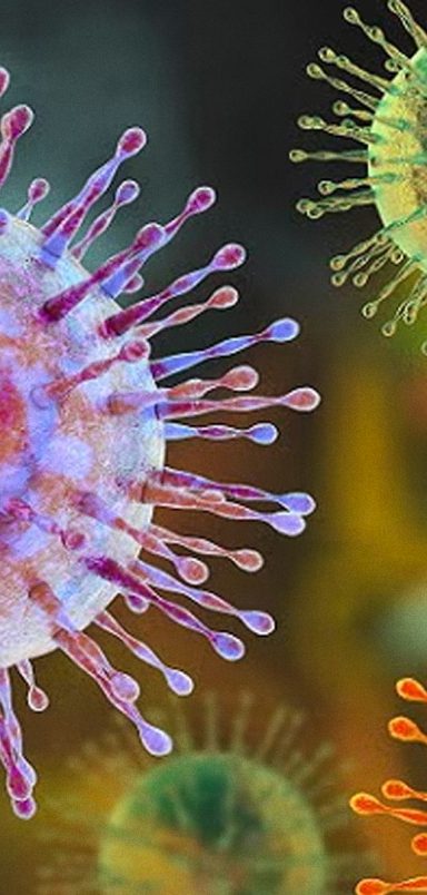 Why the hantavirus outbreak is different from Covid-19