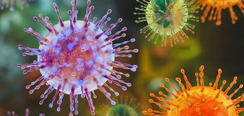 Why the hantavirus outbreak is different from Covid-19