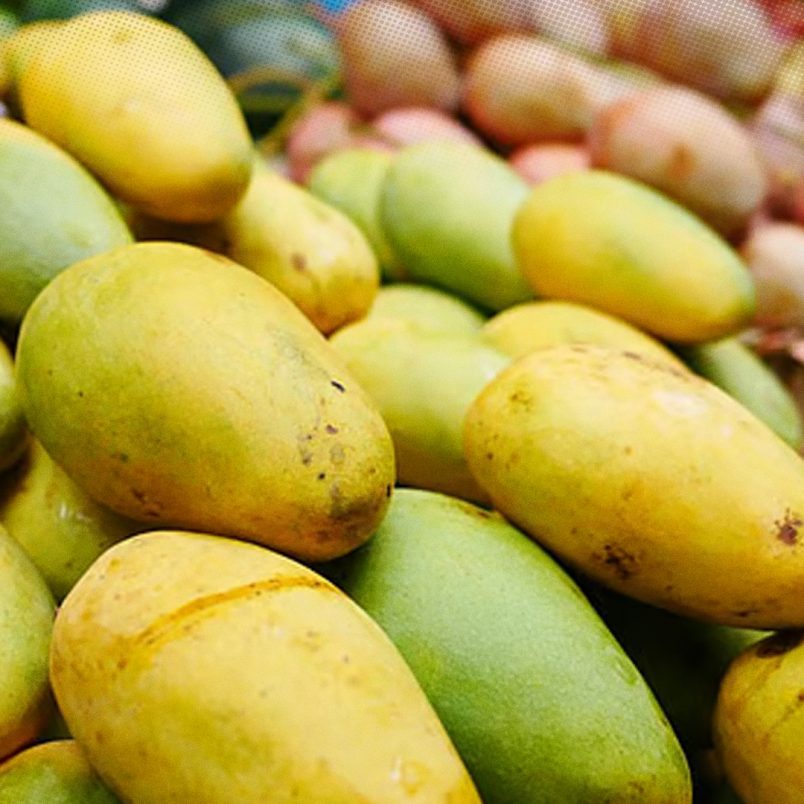How can you identify chemically treated mangoes?