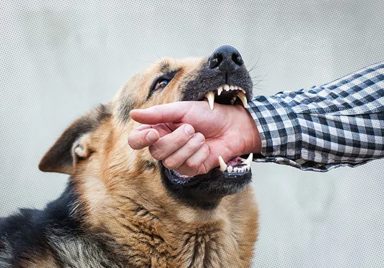 Is death inevitable after rabies symptoms appear and what should you do?