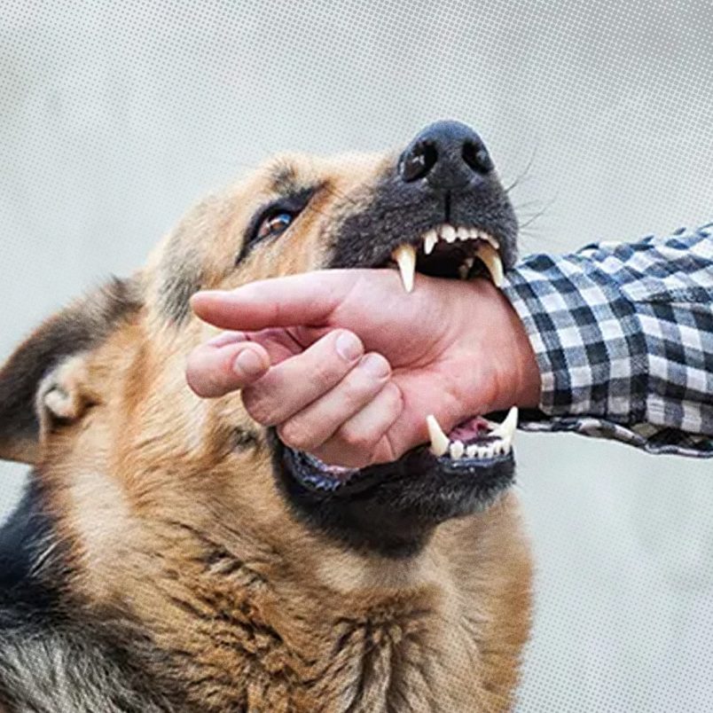 Is death inevitable after rabies symptoms appear and what should you do?