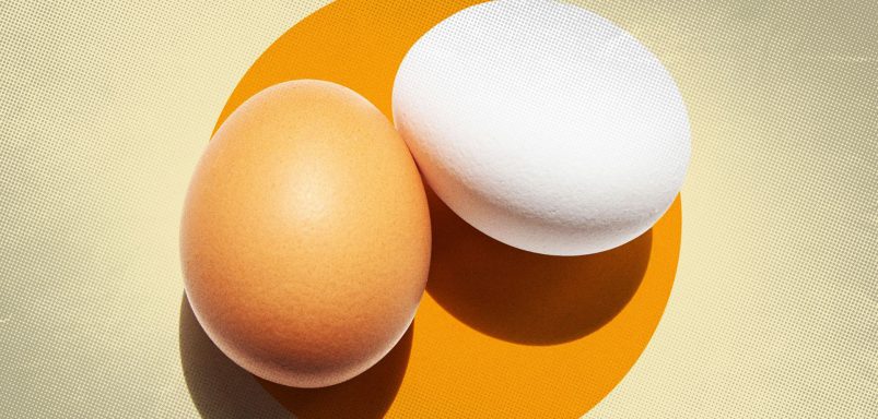 White eggs or brown eggs: Which has more nutrients?