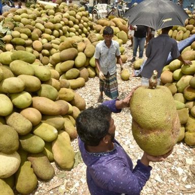 Why does China want to buy jackfruit from Bangladesh?
