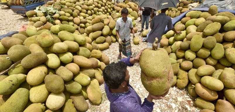 Why does China want to buy jackfruit from Bangladesh?