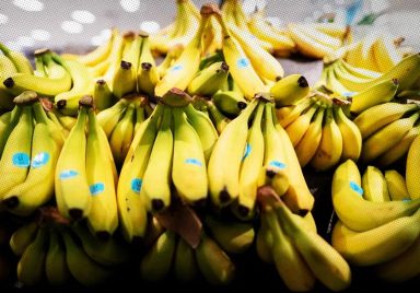 Why could bananas ‘disappear’ from Japanese dinner tables?