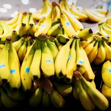 Why could bananas ‘disappear’ from Japanese dinner tables?