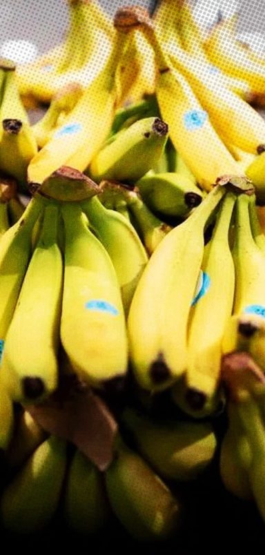 Why could bananas ‘disappear’ from Japanese dinner tables?