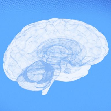What are the best foods for brain health?