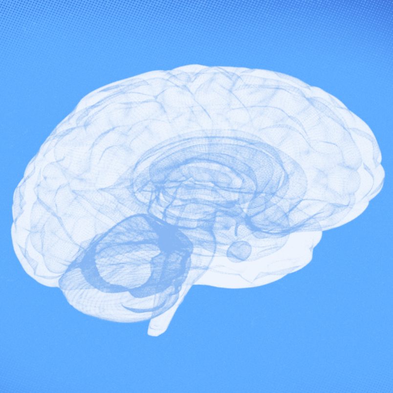 What are the best foods for brain health?