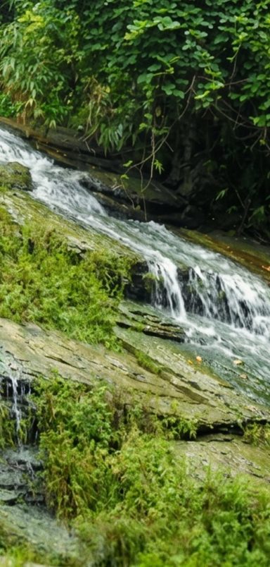 Harinmara Hatubhanga Trail: Shortest unseen track of Sitakunda