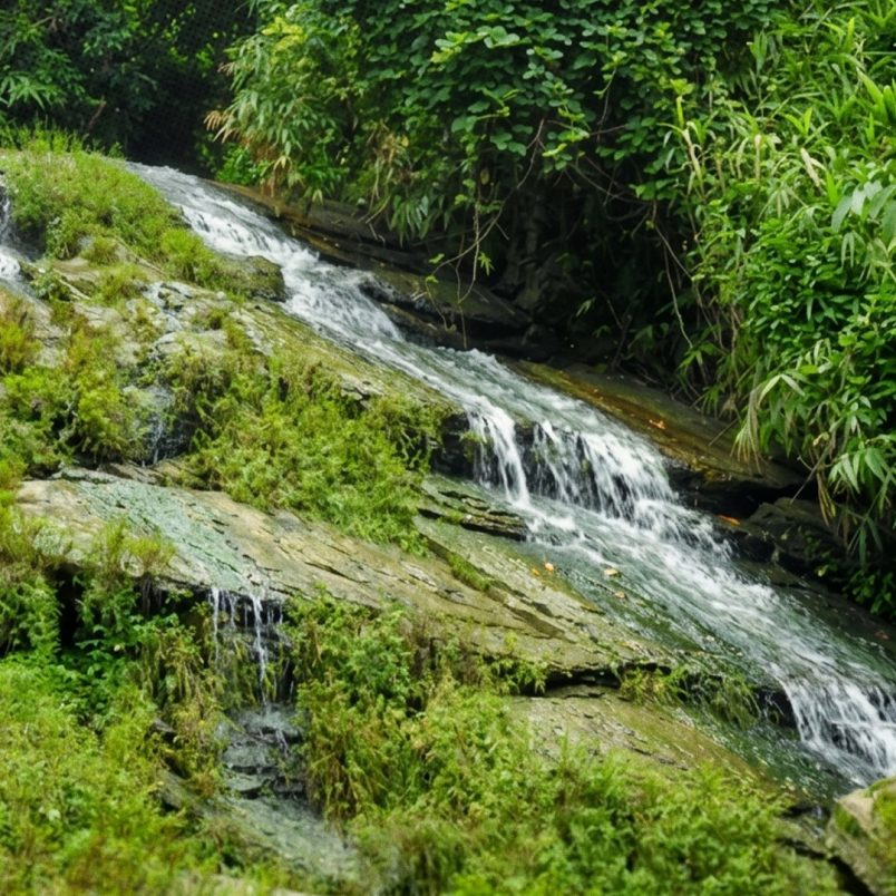 Harinmara Hatubhanga Trail: Shortest unseen track of Sitakunda