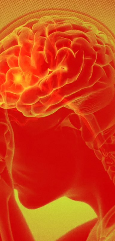 How do heatwaves affect our brains?