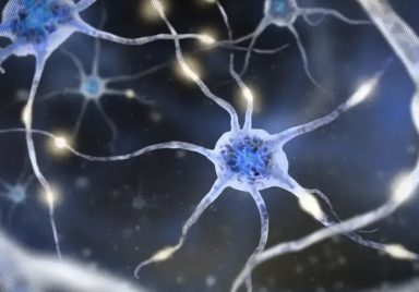 What is ex-president Shahabuddin's autonomic neuropathy disease?