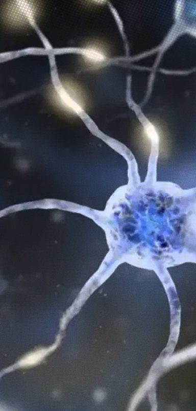 What is ex-president Shahabuddin's autonomic neuropathy disease?