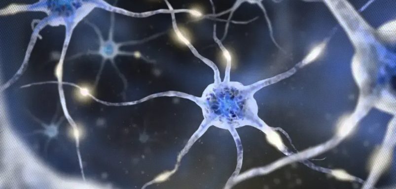 What is ex-president Shahabuddin's autonomic neuropathy disease?