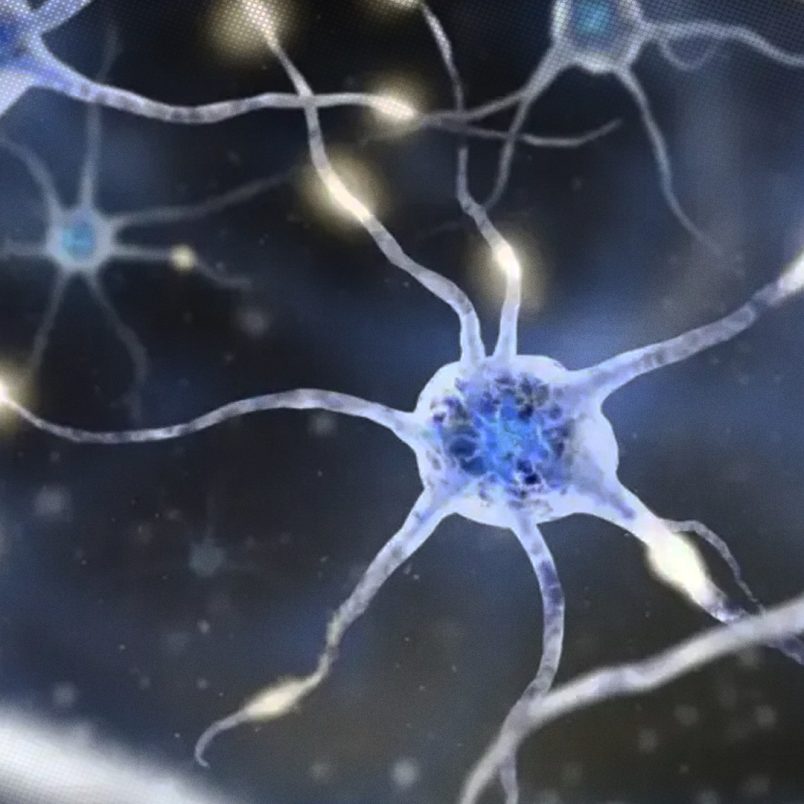 What is ex-president Shahabuddin's autonomic neuropathy disease?