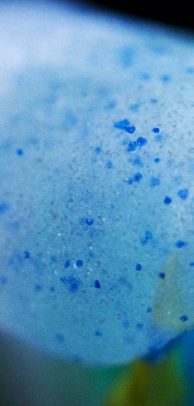 8 toothpastes that did not contain any microplastics