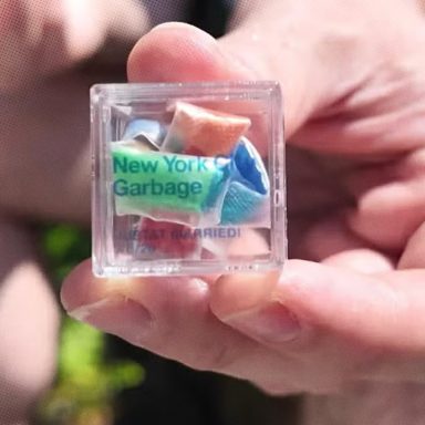 Why are people paying up to $100 for garbage?