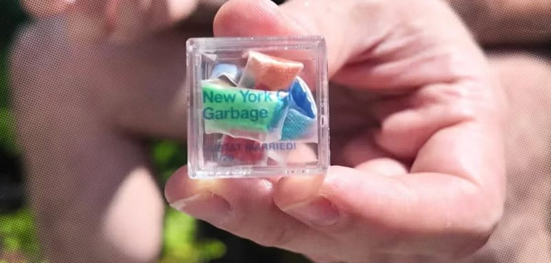 Why are people paying up to $100 for garbage?
