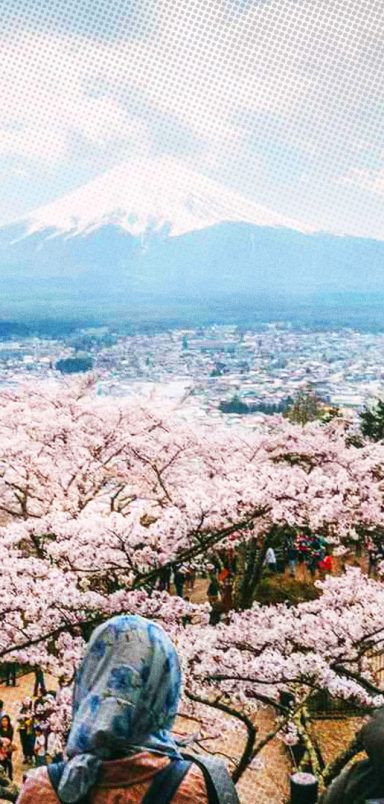 Why Japan is increasing visa fees for foreigners by 400%
