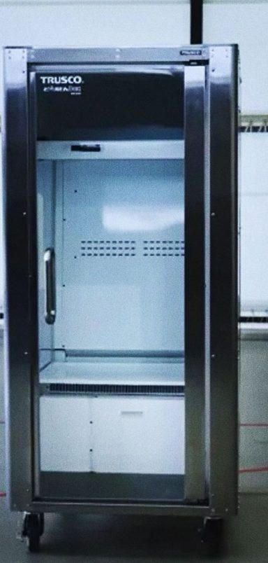 Why are 'human fridges' being sold in Japan?
