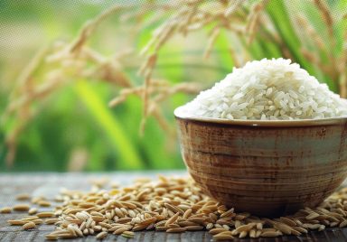 Which districts produced the most rice in Bangladesh in 2025?