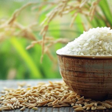 Which districts produced the most rice in Bangladesh in 2025?