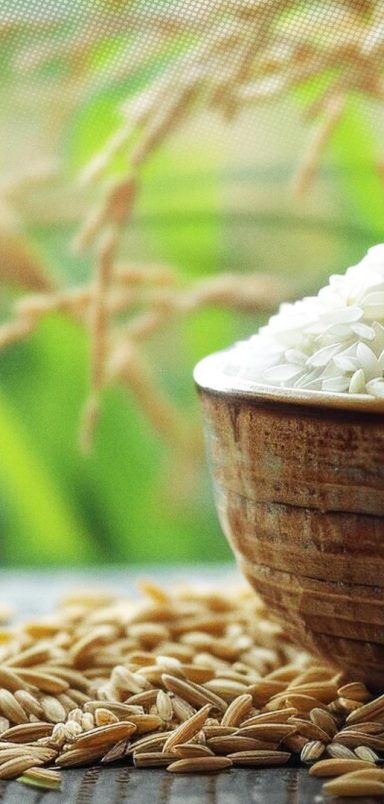 Which districts produced the most rice in Bangladesh in 2025?