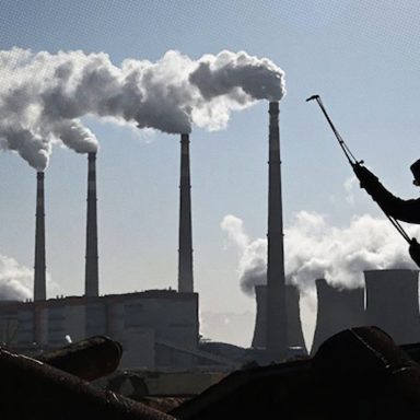 How rising CO2 is affecting our blood