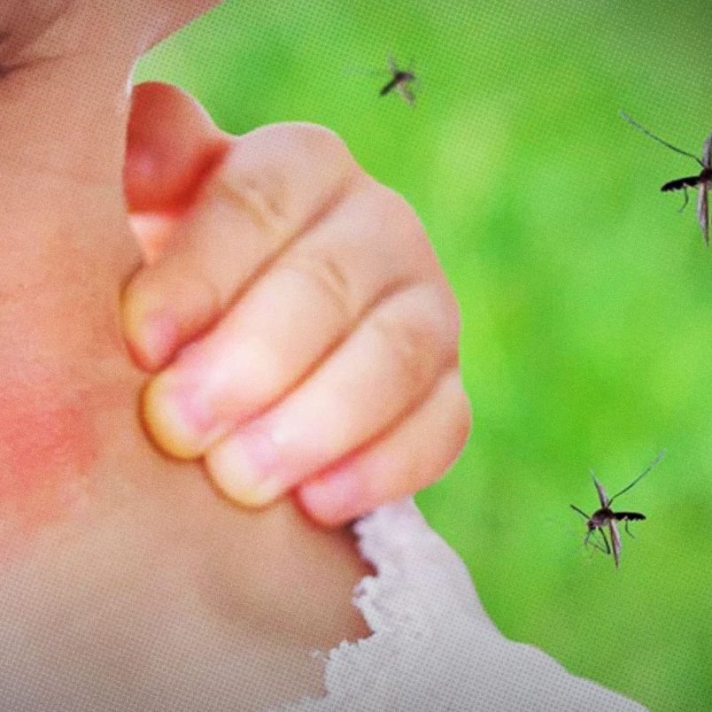 Why do mosquitoes find some people more attractive?