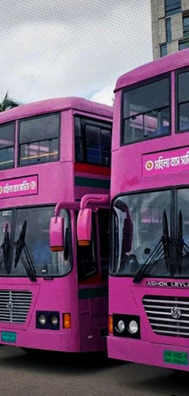 Which 11 routes will BRTC’s new pink buses operate on?