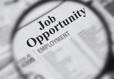 14 majors offering best job opportunities