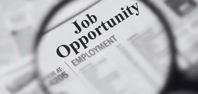 14 majors offering best job opportunities