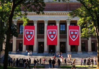 9 free Harvard courses to learn AI, coding and data science