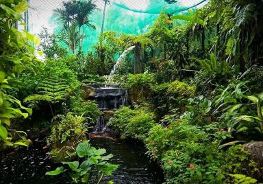 Chittagong's Butterfly Park: The country's first living butterfly garden