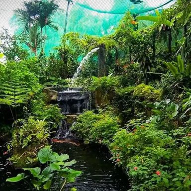 Chittagong's Butterfly Park: The country's first living butterfly garden