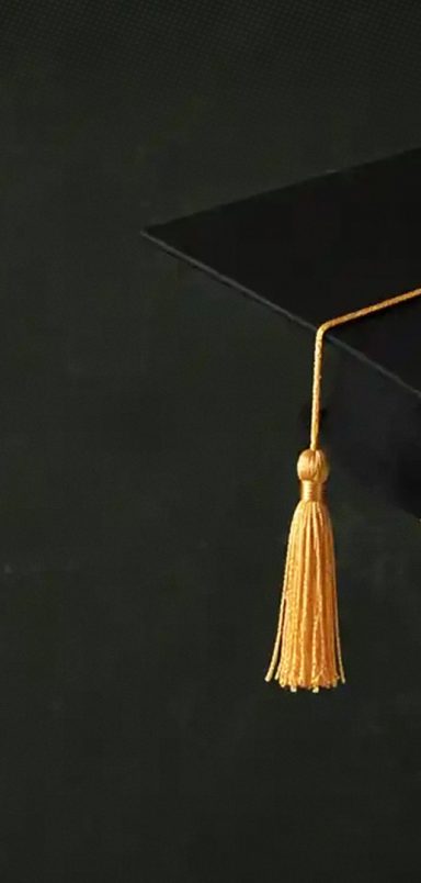 Annual cost of a bachelor's degree around the world