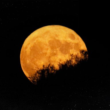 What is the Harvest Moon and why does it occur?