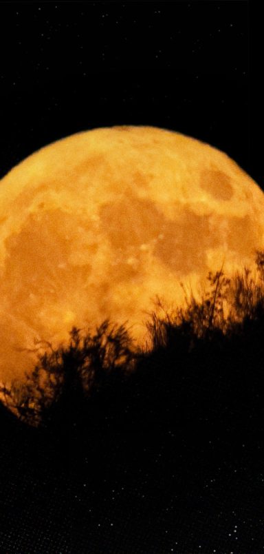 What is the Harvest Moon and why does it occur?