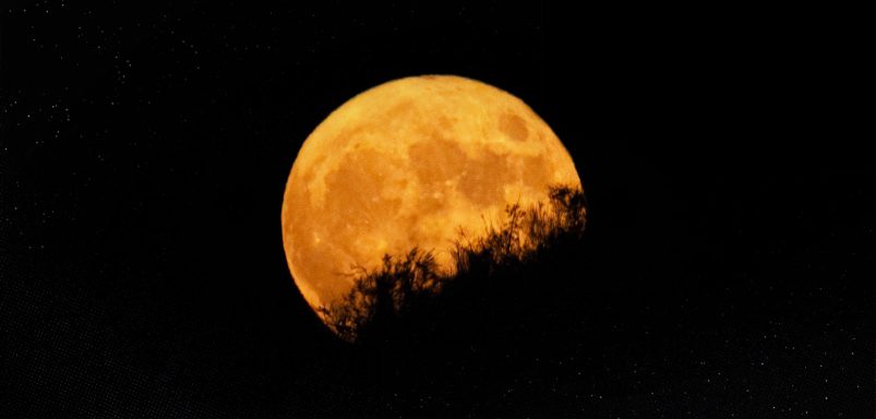 What is the Harvest Moon and why does it occur?