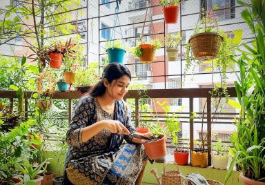 5 everyday kitchen wastes that can help your plants grow