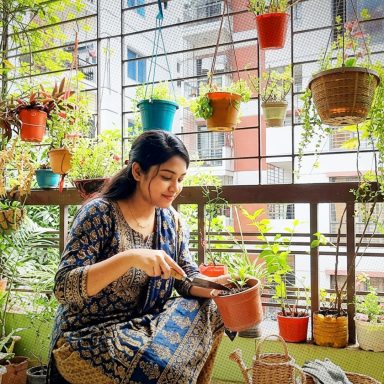 5 everyday kitchen wastes that can help your plants grow