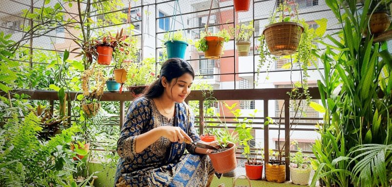 5 everyday kitchen wastes that can help your plants grow