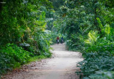 A walk in the Singra National Park